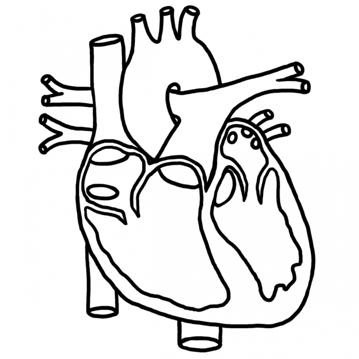 Chemotherapy Clipart-chemotherapy clipart-5
