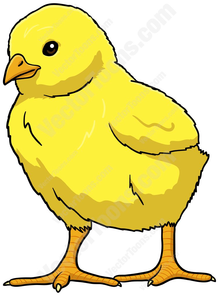Yellow Baby Chick Cartoon Clipart-Yellow Baby Chick Cartoon Clipart-12