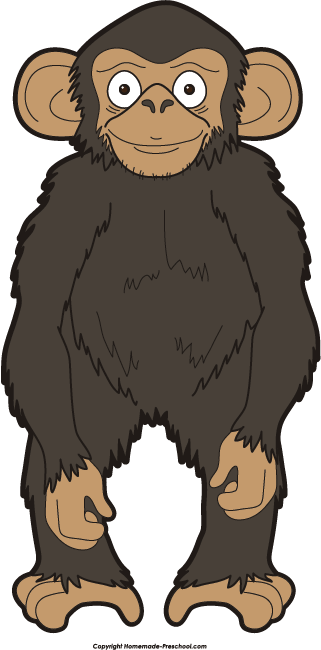 Chimpanzee Clipart -chimpanzee clipart -3