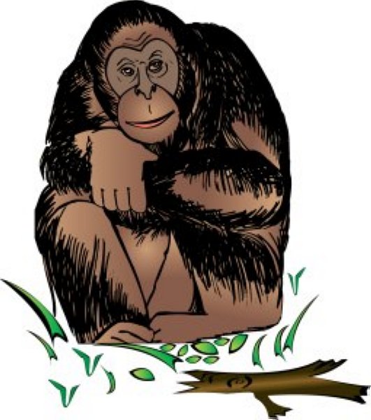 Chimpanzee Clipart : Chimpanzee_4 : Clas-Chimpanzee Clipart : chimpanzee_4 : Classroom Clipart-10