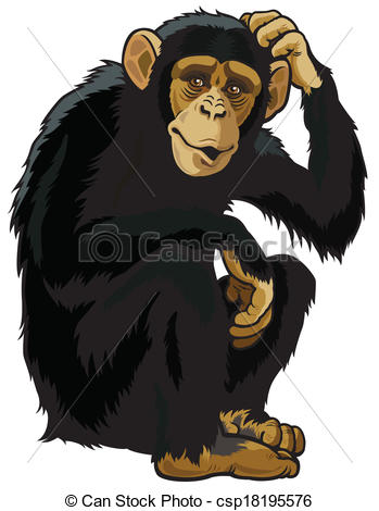 ... Chimpanzee,simia Troglodytes,sitting-... chimpanzee,simia troglodytes,sitting pose,picture isolated... ...-17