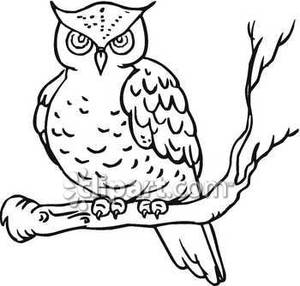 Flying Owl Clipart Black And 