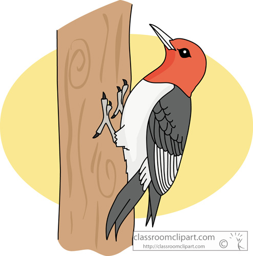 Clip Art Of Woodpeckers-Clip Art of Woodpeckers-1