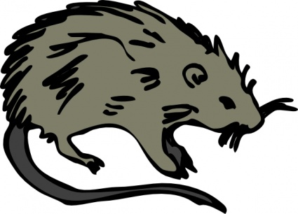 Clip Art Rat - Cliparts.co-Clip Art Rat - Cliparts.co-1