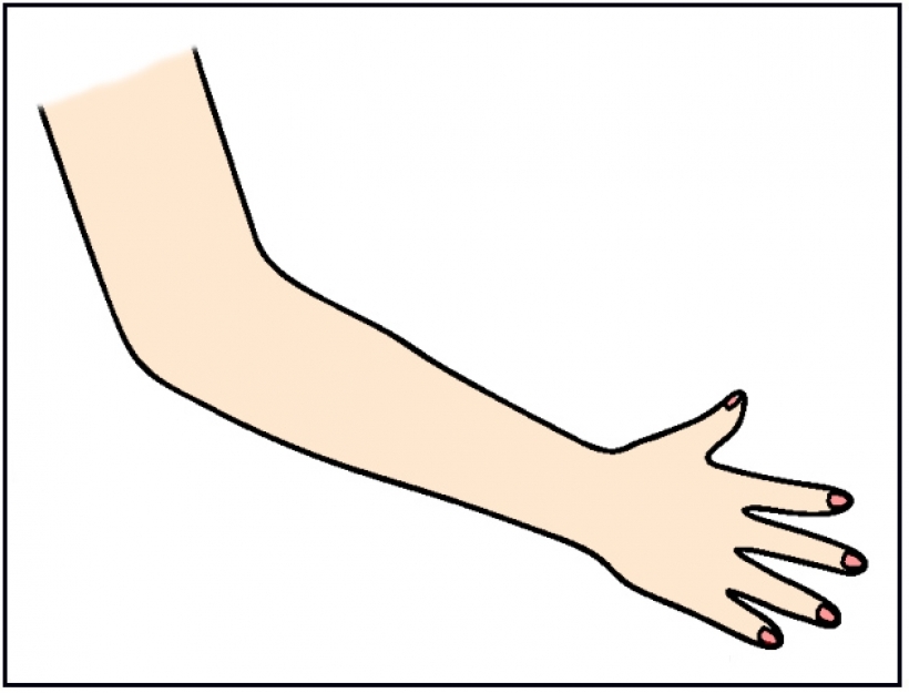 Clipart Arms-clipart arms-12