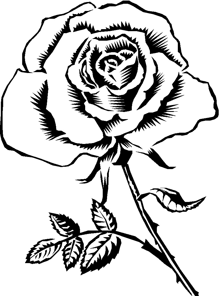 Clipart Info-Clipart Info-6