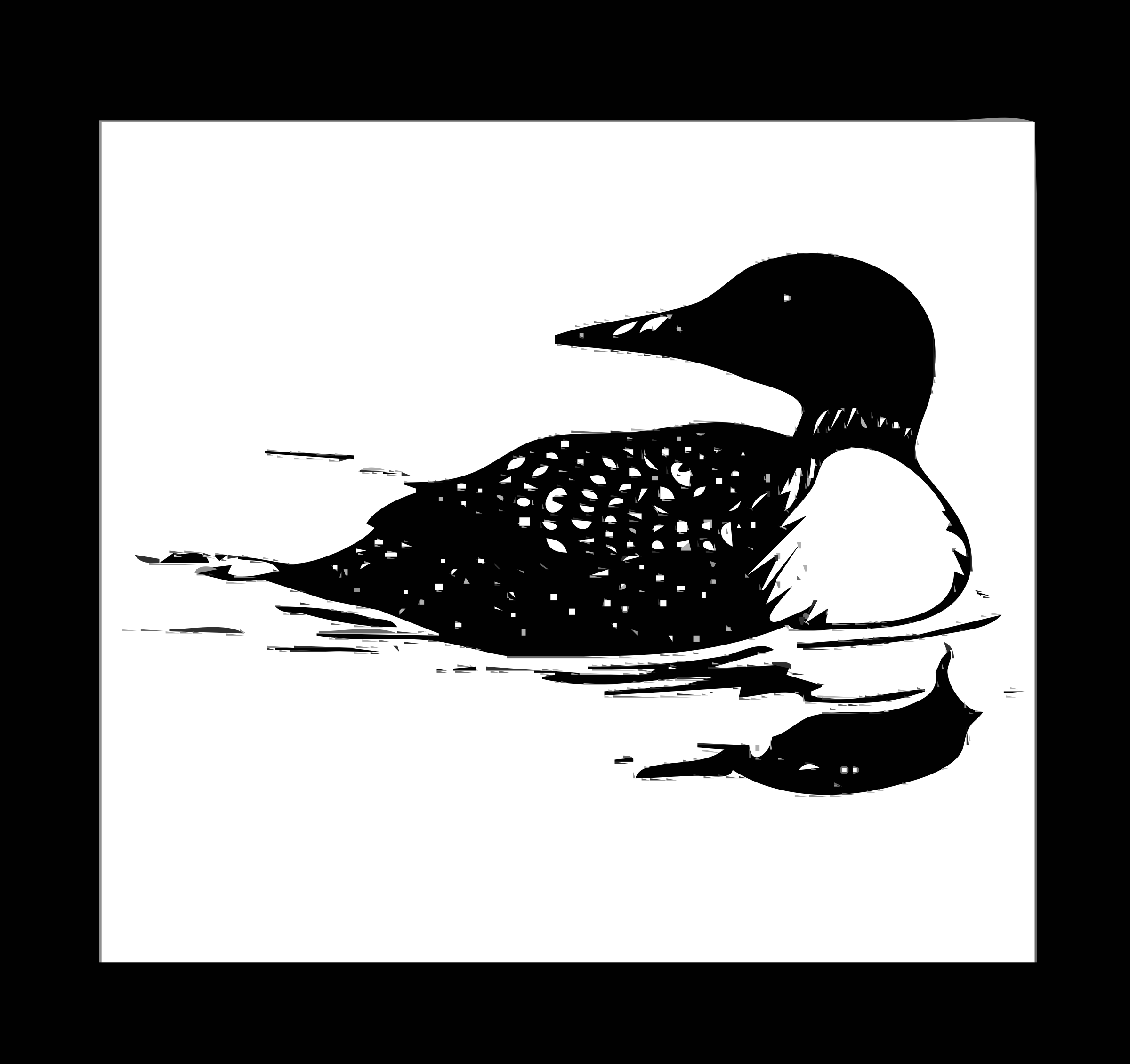 Loon Clip Art