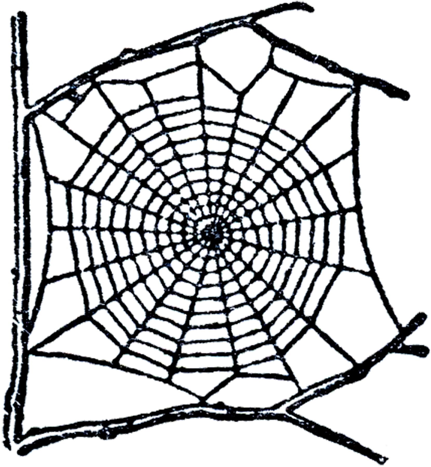 Spider web clip art download