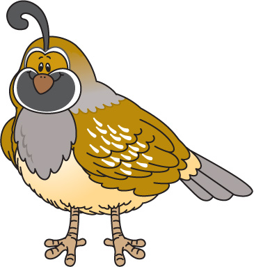 Cliparti Quail Clipart Id- .-cliparti quail clipart id- .-3