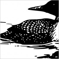 Com Free Vector Vector Clip Art Common L-Com Free Vector Vector Clip Art Common Loon Clip Art 19235 Html-1