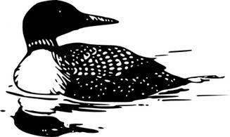 Common Loon Clip Art-Common Loon clip art-2