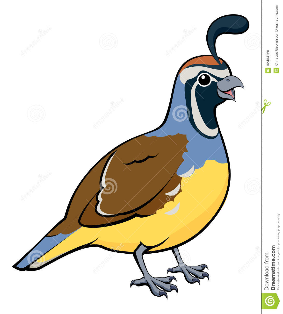 Cute Quail Clipart Cartoon Quail Vector -Cute Quail Clipart Cartoon Quail Vector Jpg-4