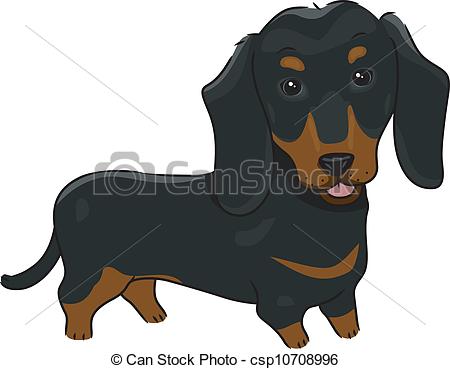 ... Dachshund - Illustration Featuring A-... Dachshund - Illustration Featuring a Cute and Friendly.-12