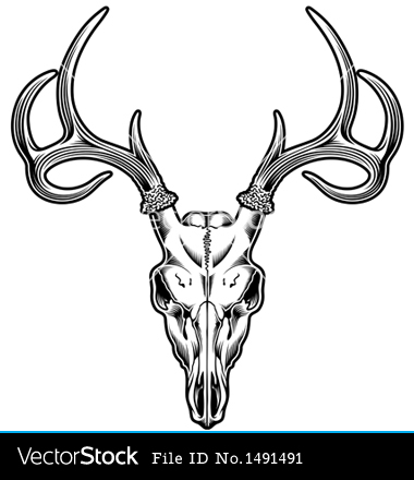 Deer Skull Clipart-deer skull clipart-5
