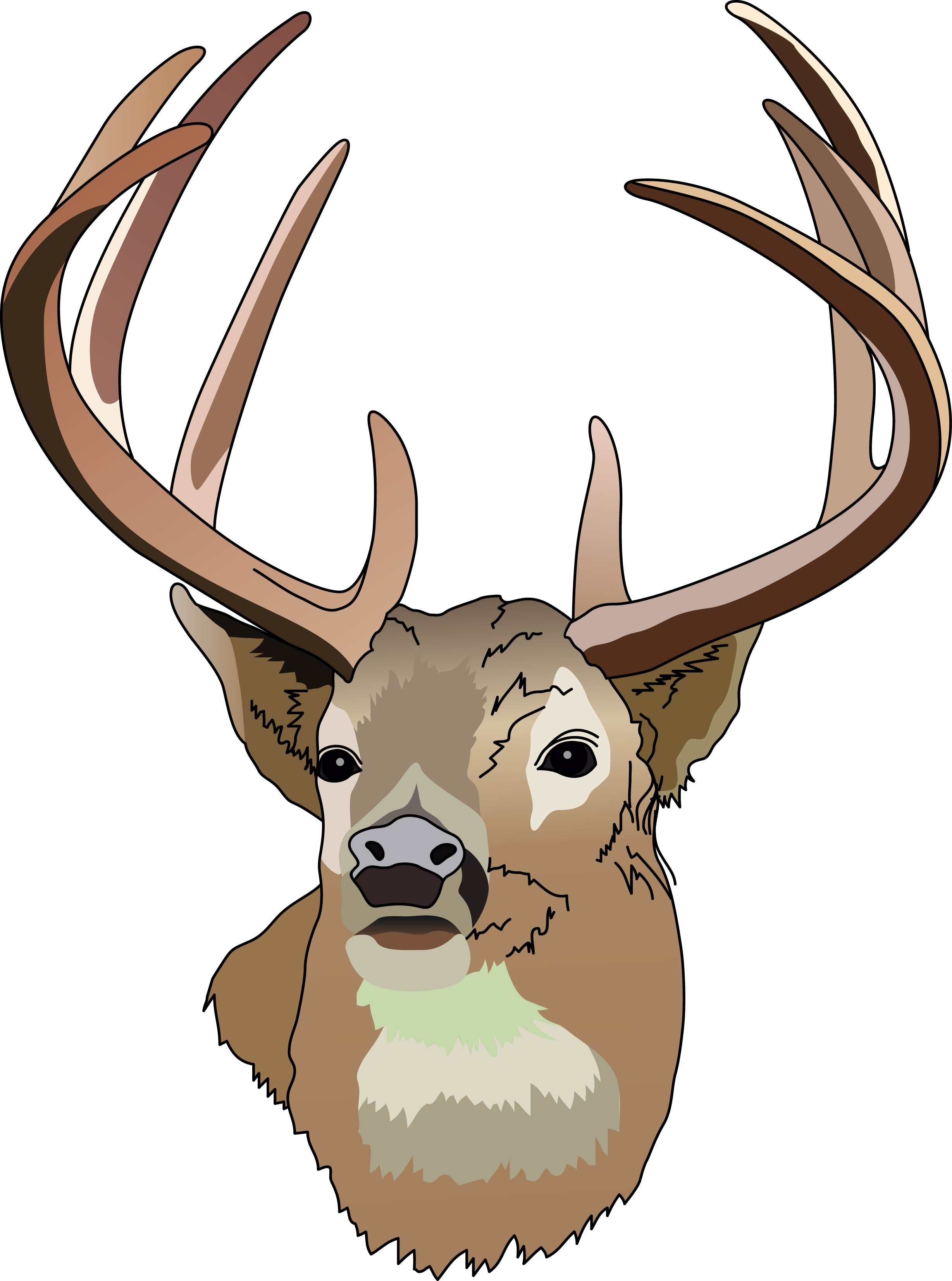 Deer Hunting Clipart Free .-Deer hunting clipart free .-8