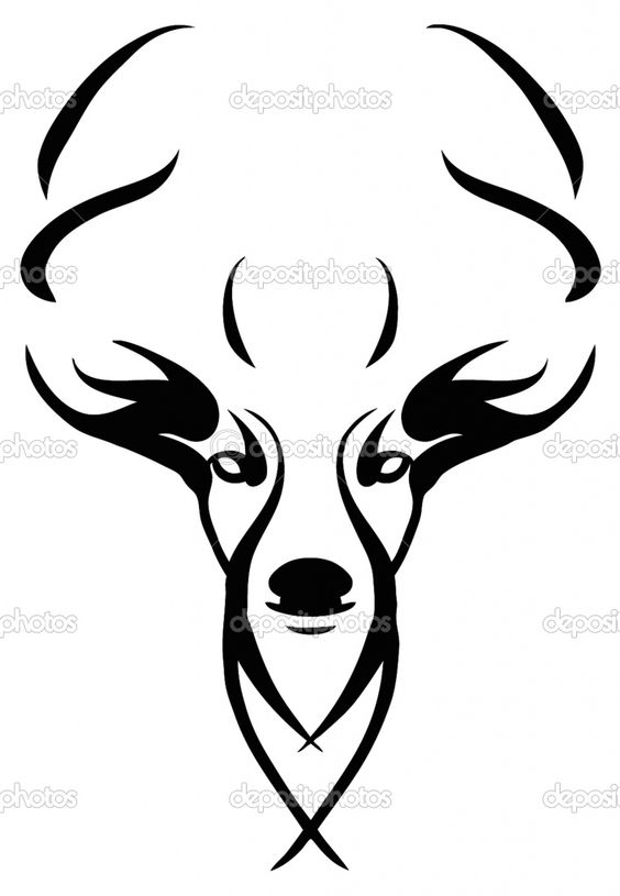 Deer Skull Drawings | Images Of Deer Sku-Deer Skull Drawings | images of deer skull clip art pictures wallpaper-12