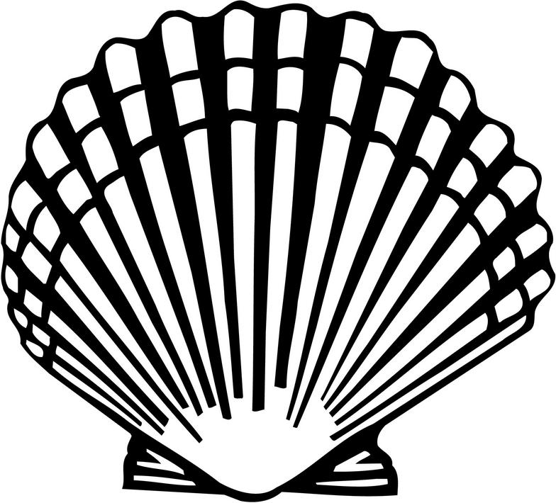 Download Scallop Shell Clipart-Download Scallop Shell Clipart-2