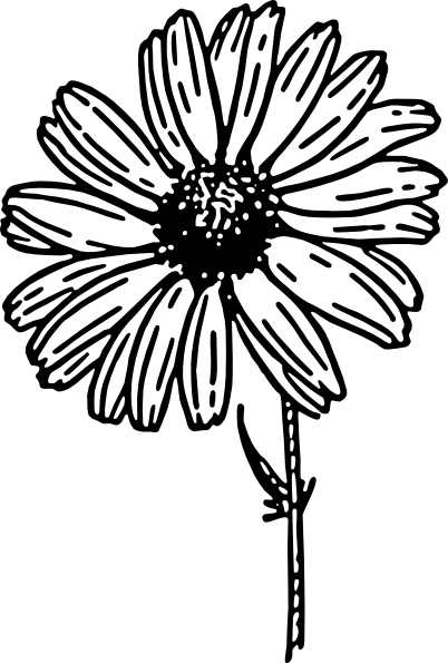 Download This Image As:-Download this image as:-5