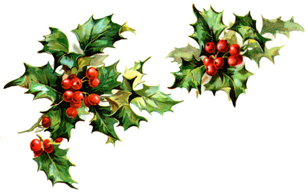 Download Winter Holly Clipart-Download Winter Holly Clipart-7