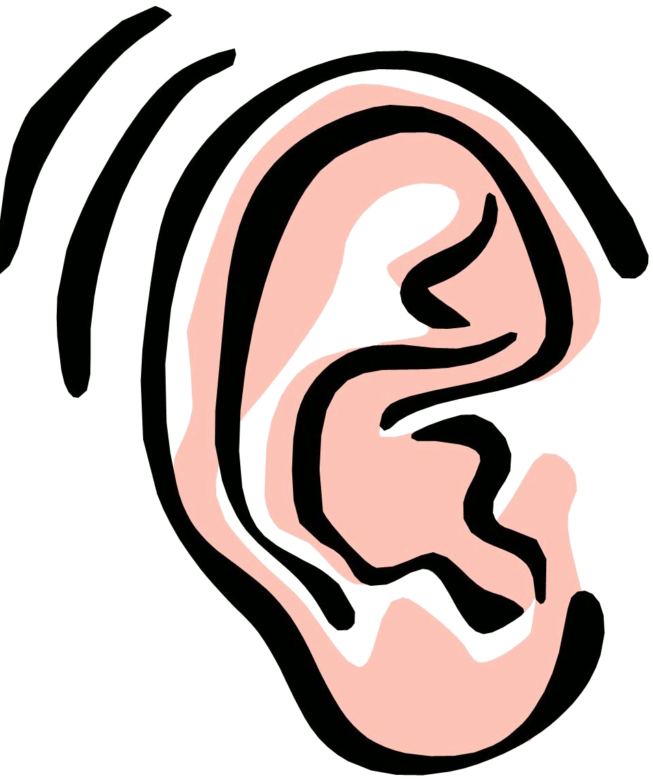 Ear Clipart #EarClipart Images .-Ear clipart #EarClipart images .-10