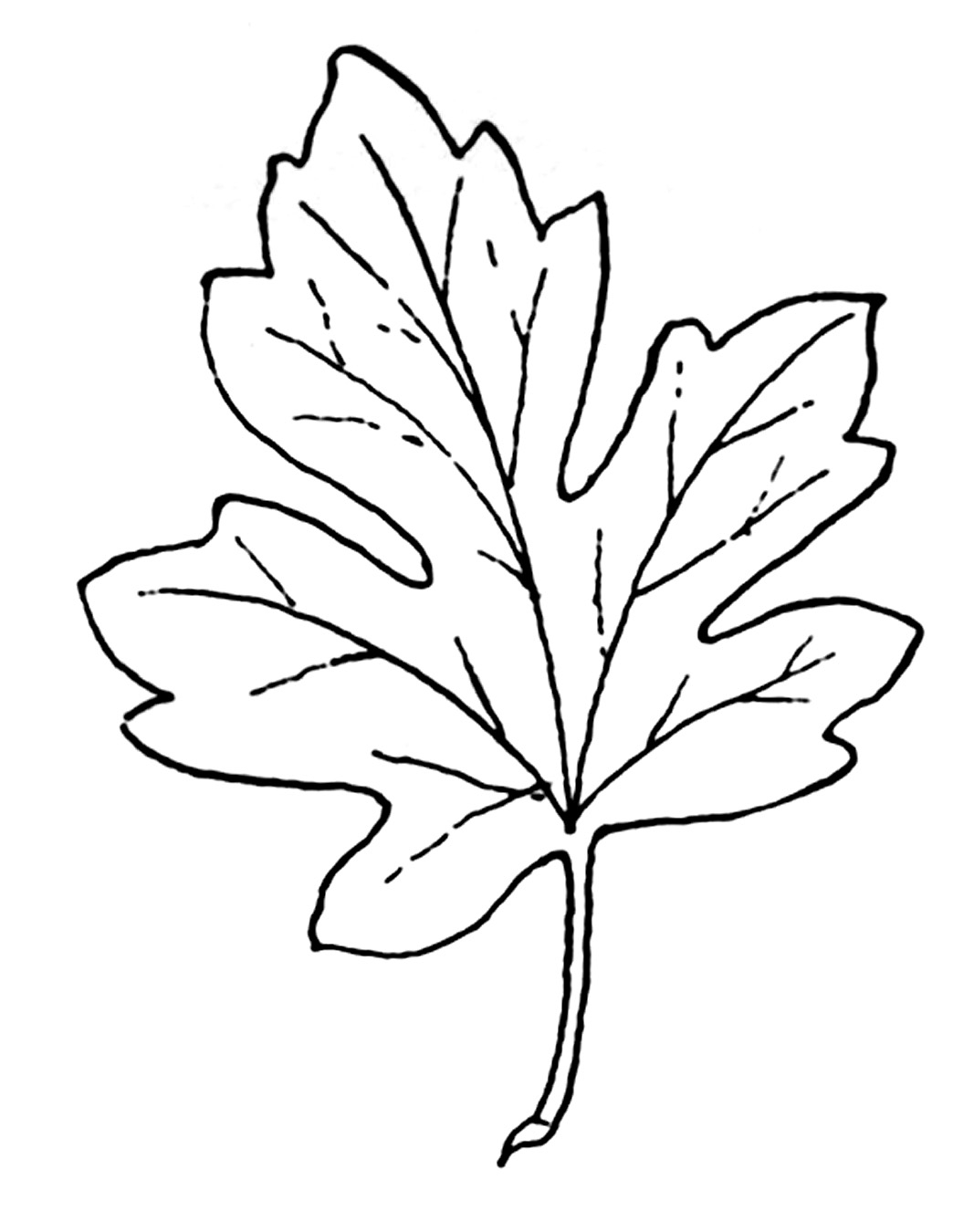 Fall Leaves Clipart Black And-fall leaves clipart black and-5