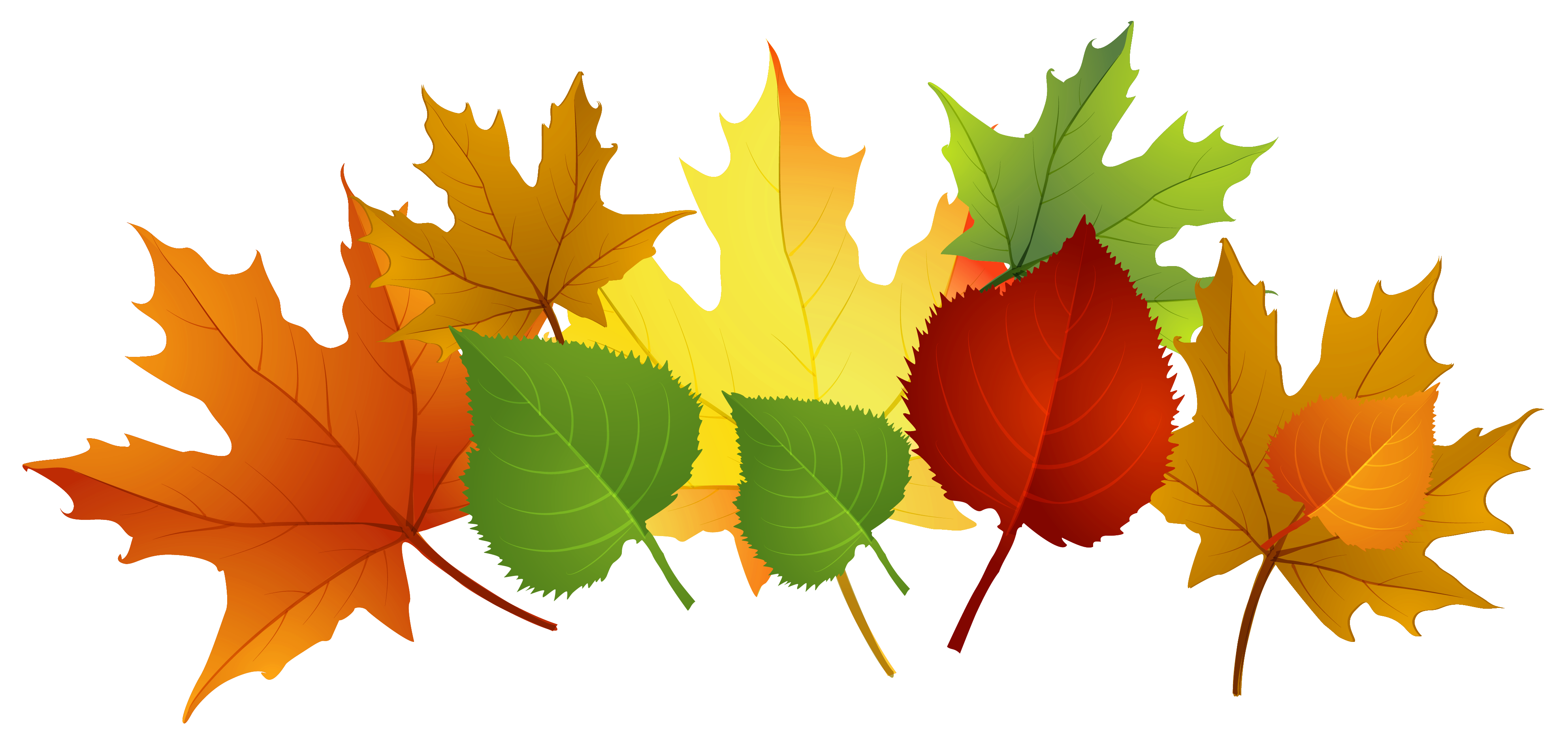 Fall Leaves Fall Clip Art Autumn Clip Ar-Fall leaves fall clip art autumn clip art leaves clip art clipart-8