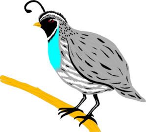 Finch Clipart-finch clipart-5