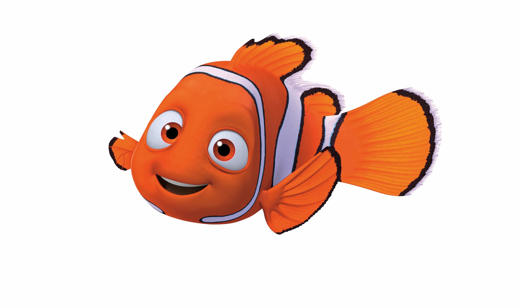 Finding Nemo Hiu 19343 Hd Wallpapers-Finding Nemo Hiu 19343 Hd Wallpapers-5