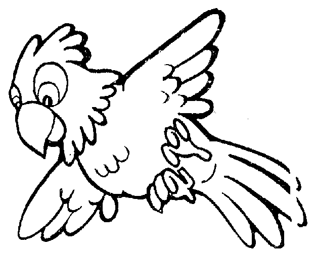 Free Parrot Clipart-free parrot clipart-4