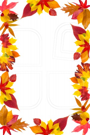 Free Leaf Border Clip Art-Free Leaf Border Clip Art-17