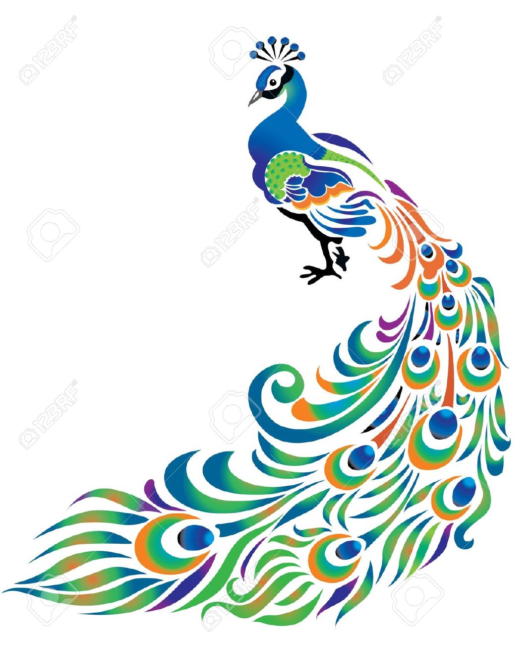 Free Peacock Clipart 2-Free peacock clipart 2-1