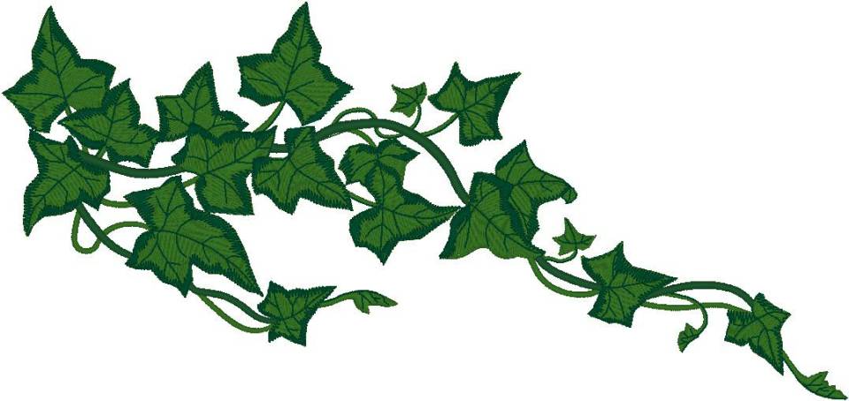 Free Vine Clip Art Pictures - Clipartix-Free Vine Clip Art Pictures - Clipartix-6