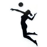 Free Volleyball Clipart-free volleyball clipart-2