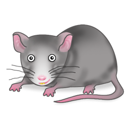 Funny Rat Icon Png Clipart Image Iconbug-Funny Rat Icon Png Clipart Image Iconbug Com-6