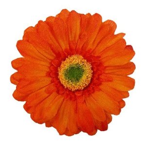 Gerbera Daisy Clip Art Clipart Best-Gerbera Daisy Clip Art Clipart Best-7
