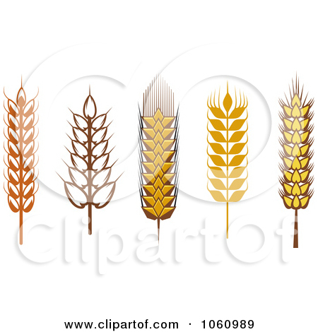 Grain Clipart-grain clipart-5