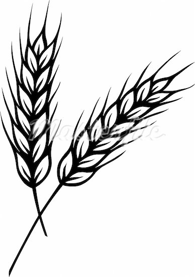 Grains Clipart Black And White-grains clipart black and white-9