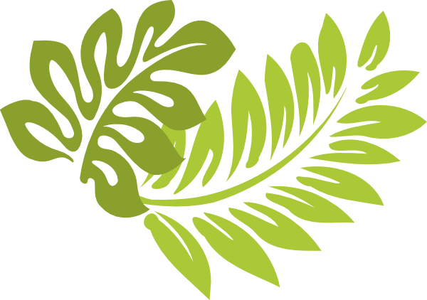Hibiscus Leaves Clip Art At Clker Com Ve-Hibiscus Leaves Clip Art At Clker Com Vector Clip Art Online-10