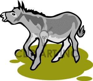 Horse Horses Farm Farms Animals Donkey D-Horse Horses Farm Farms Animals Donkey Donkeys Jackass 5 Donkey Gif-5