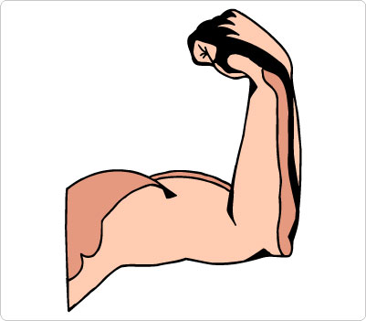 Human Muscle Clipart 67 Jpg-Human Muscle Clipart 67 Jpg-15