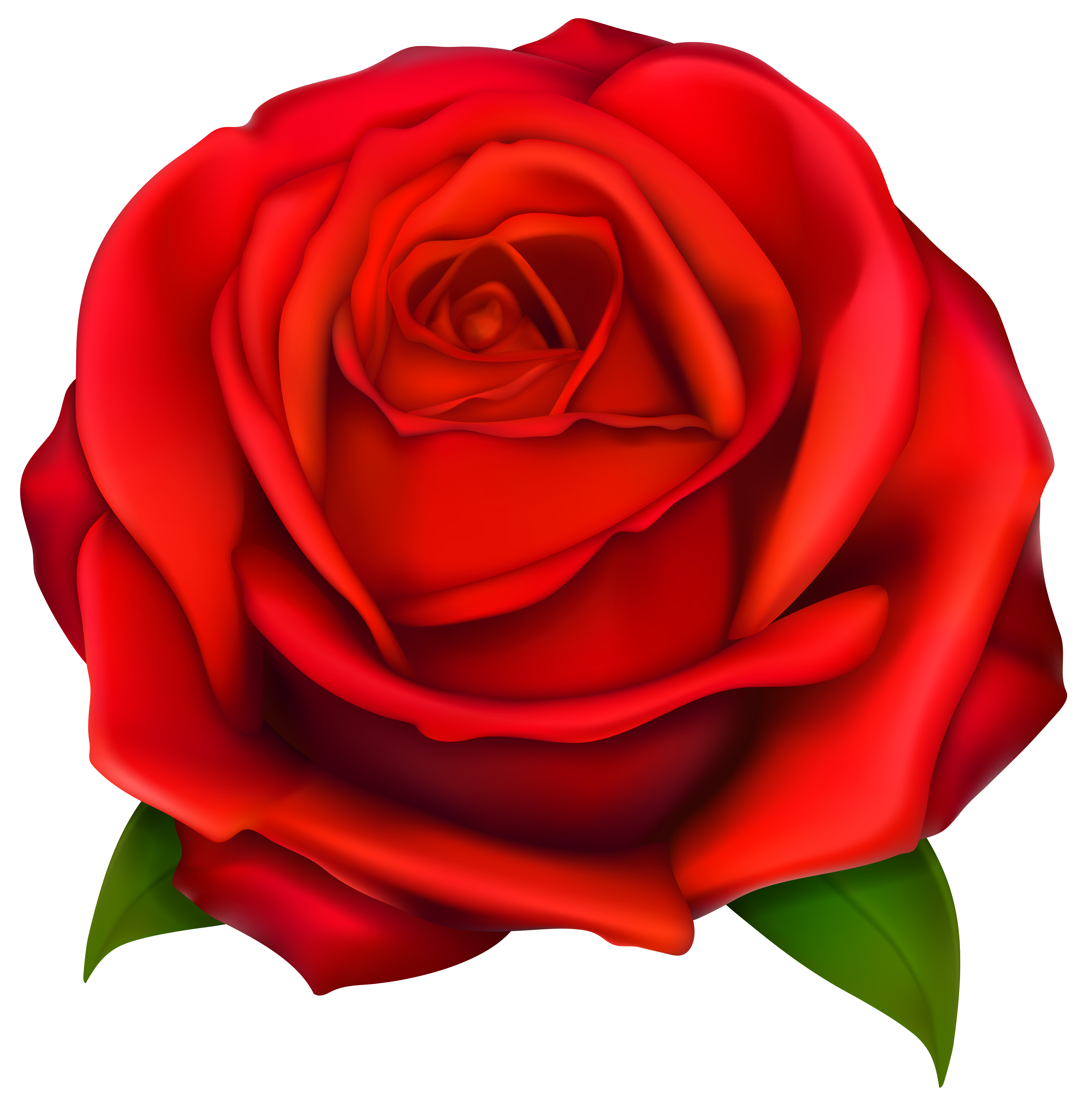 Image Of Clip Art Red Rose 2 Red Roses C-Image of clip art red rose 2 red roses clip art images free-6