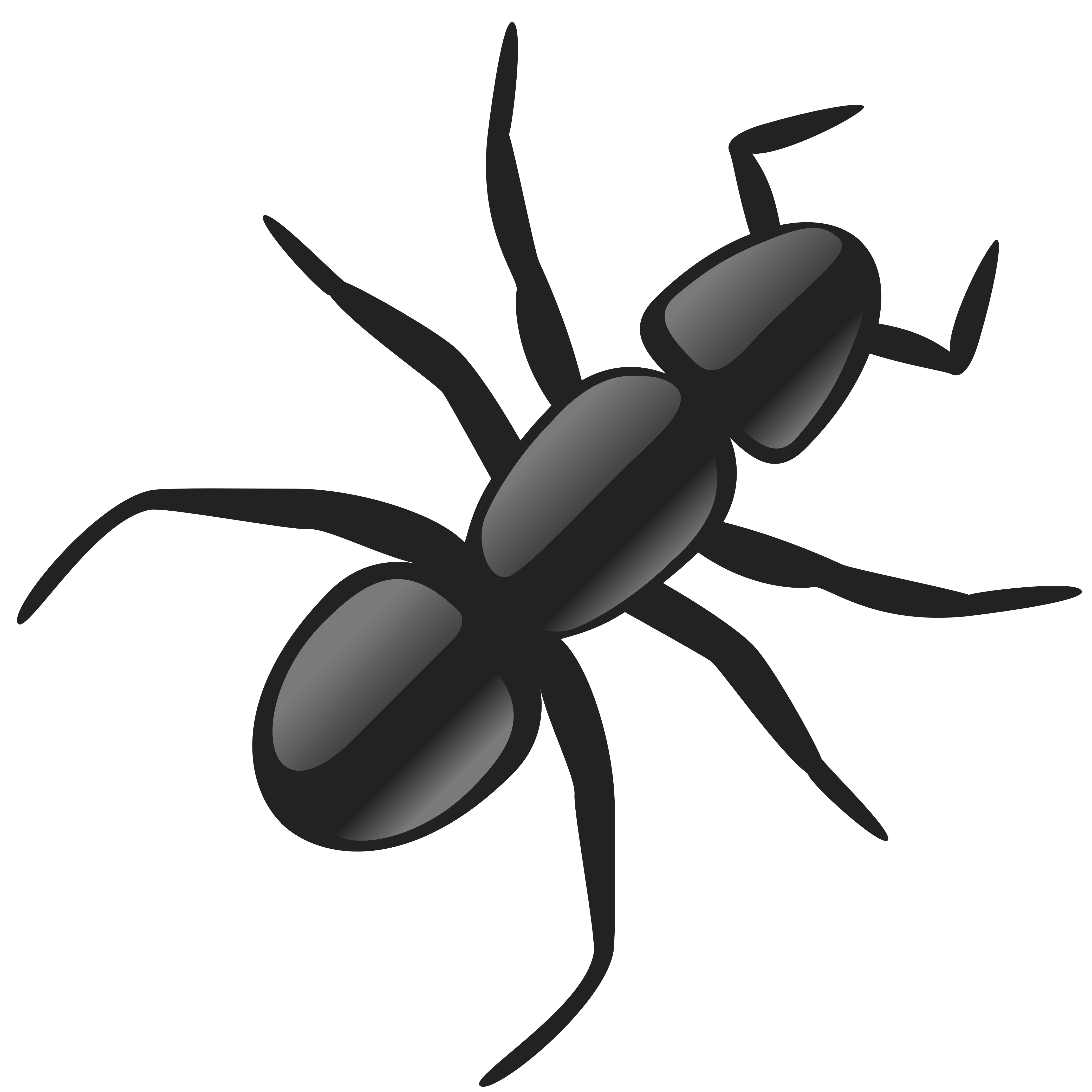 Insect Clipart -insect clipart -9