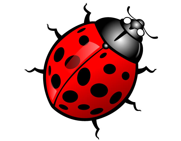 Insect Clipart -insect clipart -10