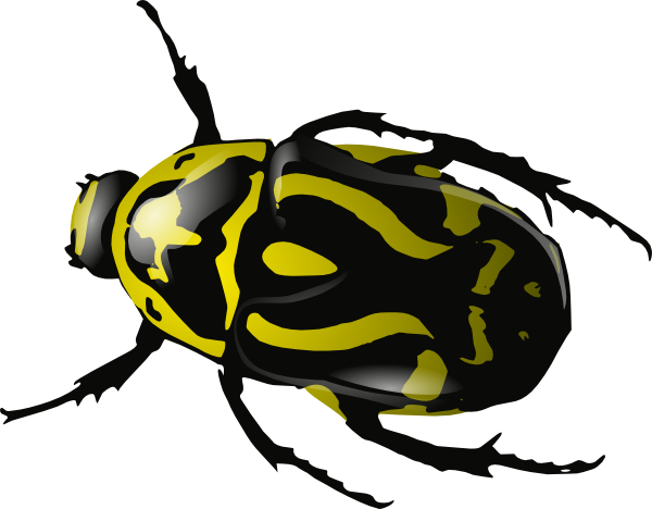 Insect Clipart Clipart-Insect clipart clipart-14