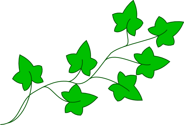 Ivy Vine Clip Art At Clker Com Vector Cl-Ivy Vine Clip Art At Clker Com Vector Clip Art Online Royalty Free-10