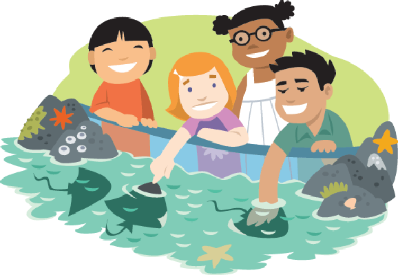 Kids Aquarium-Kids Aquarium-11