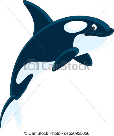 Killer Whale - Csp20955056-Killer whale - csp20955056-13