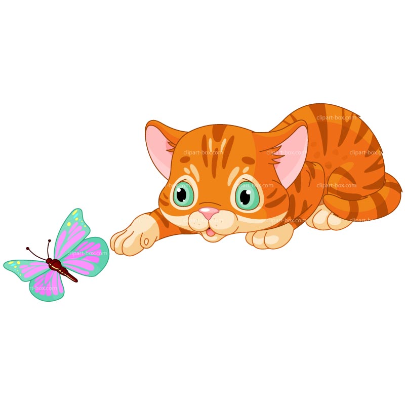 Kitten Clipart Kitten121016 Jpg-Kitten Clipart Kitten121016 Jpg-12