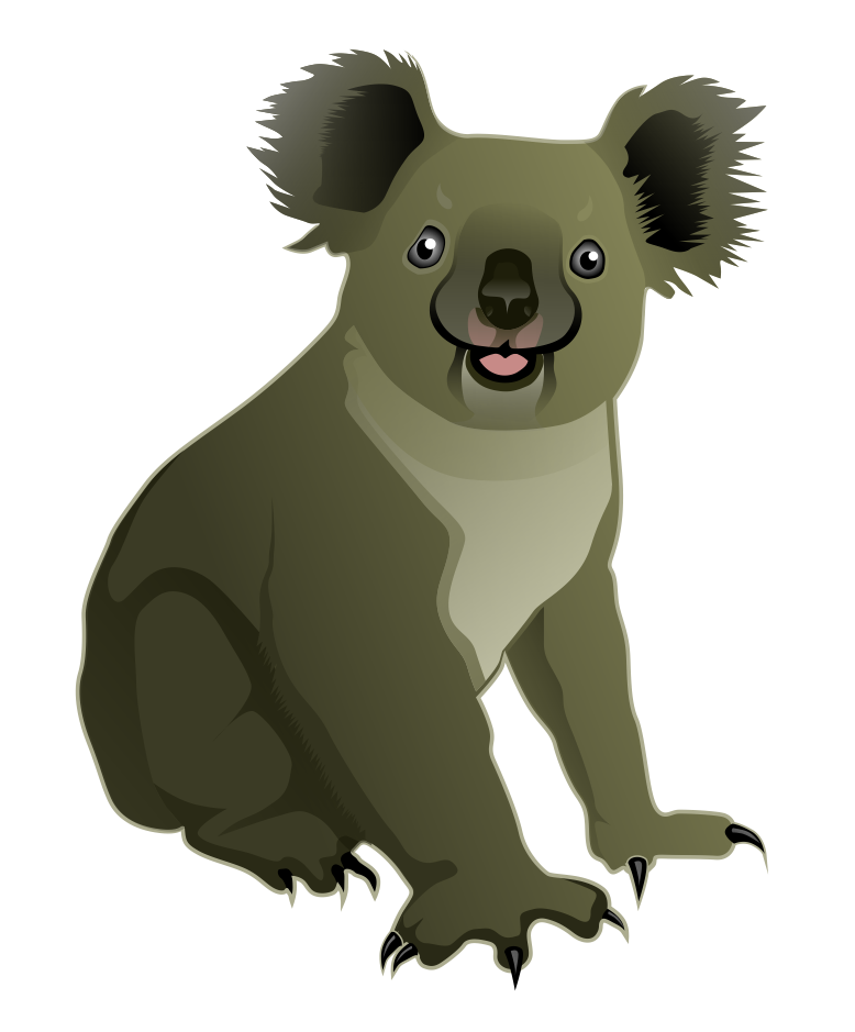 Koala3-Koala3-17