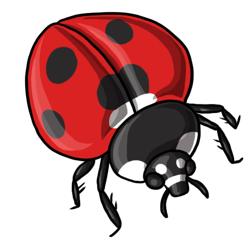 Ladybug Clip Art 5 U0026middot; Ladybug -Ladybug Clip Art 5 u0026middot; Ladybug Clip Art 6-9